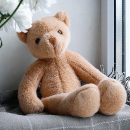 Make Your Own Memory Bear: Live Zoom Workshop