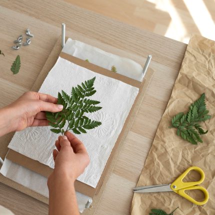 Plant Pressing & Oshibana Pictures: Live Zoom Workshop