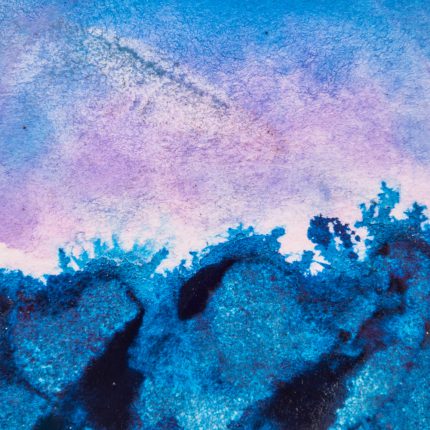 Cyanotype Sun Printing: Live Zoom Workshop